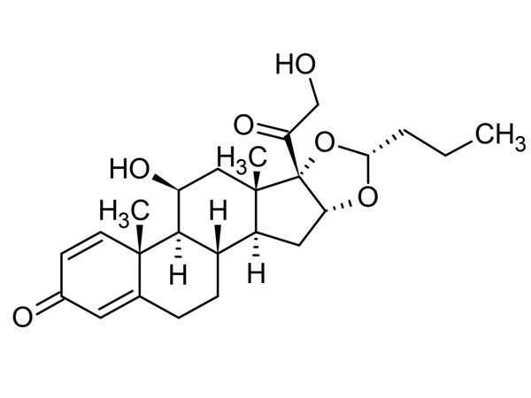 The Brief Introduction to Budesonide