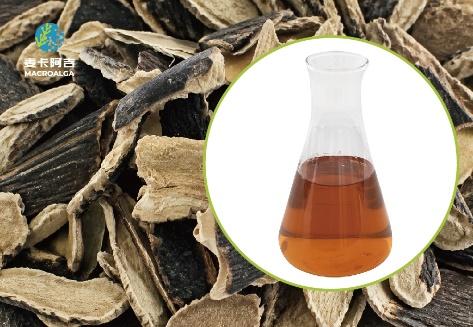 How a China Ecklonia Maxima Extract Supplier Can Elevate Your Product Line