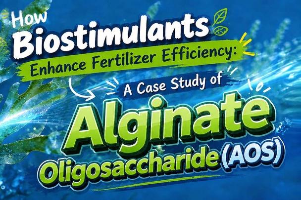 Reliable Fertilizer Additive Original Manufacturer: Your Trusted Partner for Quality and Consistency